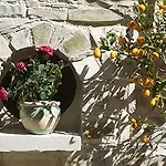 Palatakia - Adults Only Country house