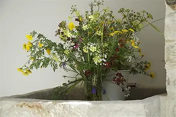 Palatakia - Adults Only *